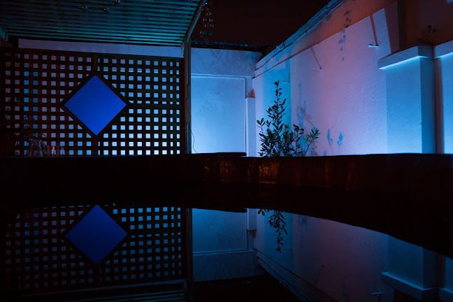 Revitali-zen Rancagua