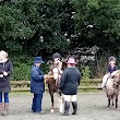 Tinwald Pony Club