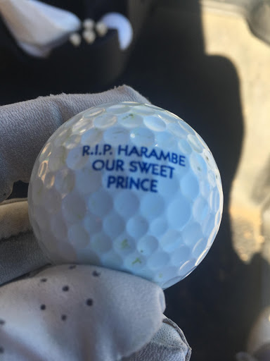 Electronics Store «Best Buy», reviews and photos, 2 International Dr, Danbury, CT 06810, USA