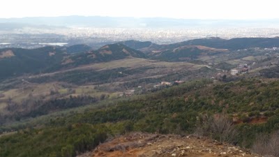 Photos of Dajti Park
