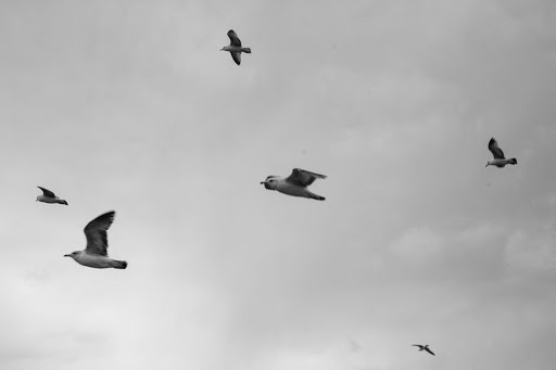 Coffee Shop «Panama Bay Coffee», reviews and photos, 289 Mare Island Way, Vallejo, CA 94590, USA