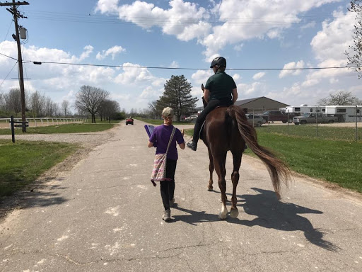 Everyday Dressage