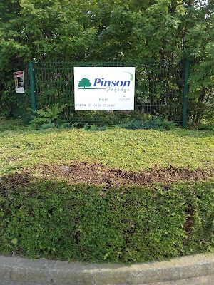 Pinson Paysage Nord à Fretin