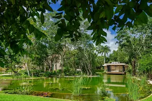 Hacienda Xcanatun image
