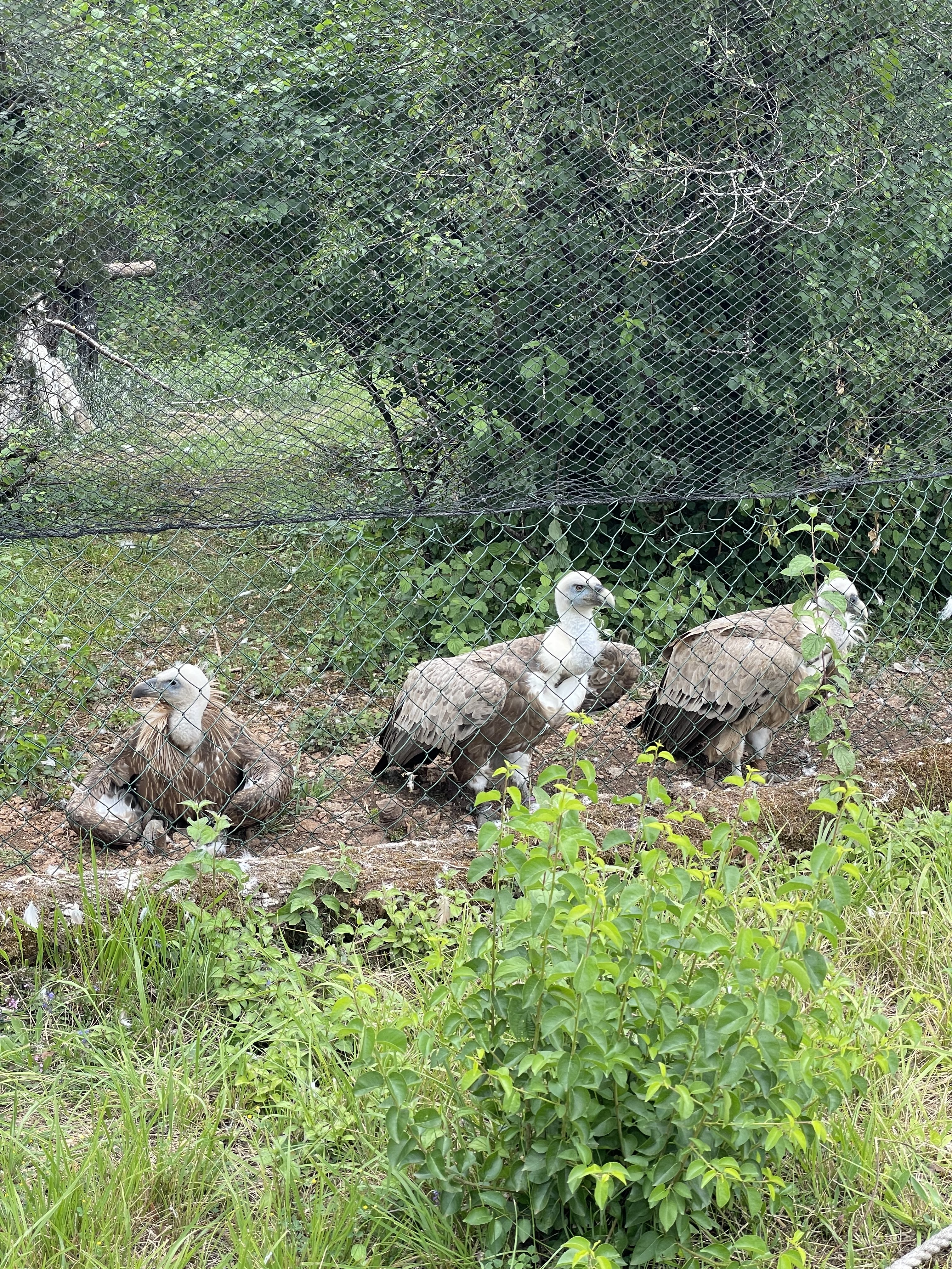 Photo n° 6 de l'avis de Saïd.l fait le 03/08/2021 à 16:42