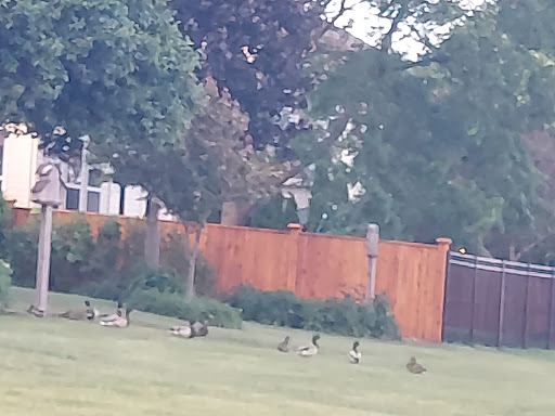 Park «Prairie Point Community Park», reviews and photos, 4120 Plainfield Rd, Oswego, IL 60543, USA