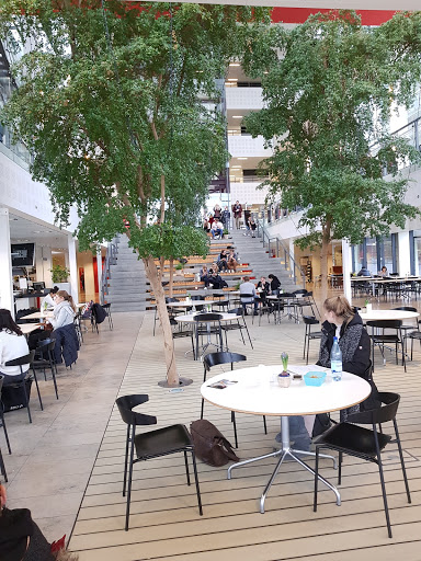 Cafe Alsion in Sønderborg, Frederikshavn