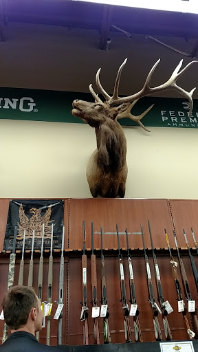 Fishing Store «Green Top Sporting Goods, Corporation.», reviews and photos, 10150 Lakeridge Pkwy, Ashland, VA 23005, USA