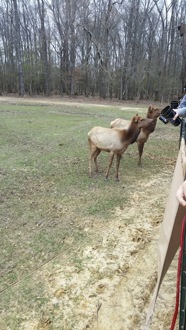 A Vip Grand Events Inc