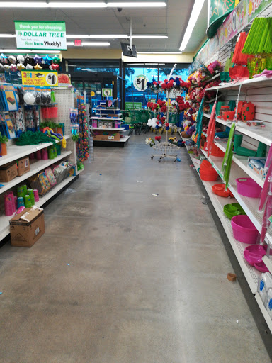 Dollar Store «Dollar Tree», reviews and photos, 50 Pulaski Blvd, Bellingham, MA 02019, USA
