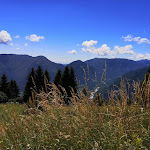 Photo n°1 de l'avis de Vincenzo.o fait le 09/07/2022 à 15:50 sur le  Agriturismo Casera dei Boschi à Monte Avena, Pedavena