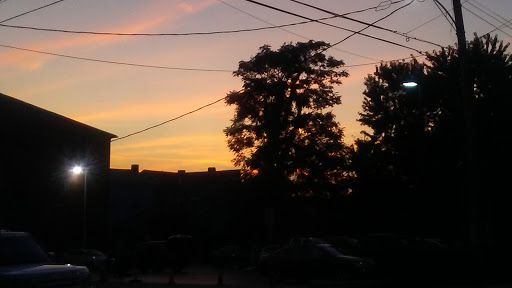 Non-Profit Organization «Brighton Center, INC.», reviews and photos