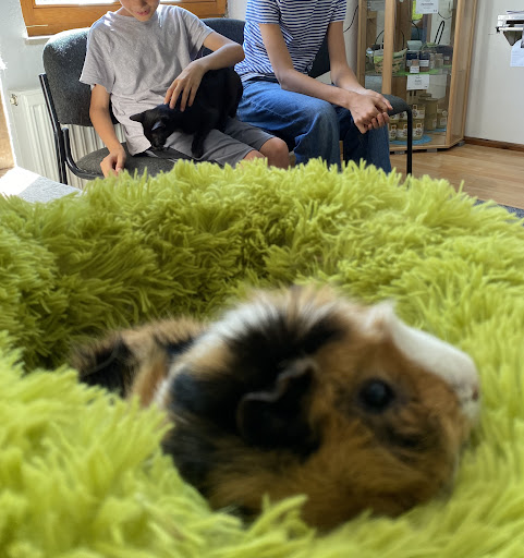 Tierarztpraxis Katrin Held unter Schnabelwaid, Bayern