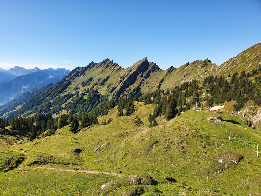 site_photo4
