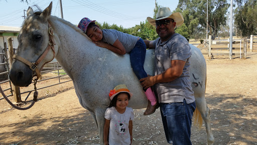 Pet Supply Store «Bradshaw Feed & Pet Supply», reviews and photos, 7285 Bradshaw Rd, Sacramento, CA 95829, USA