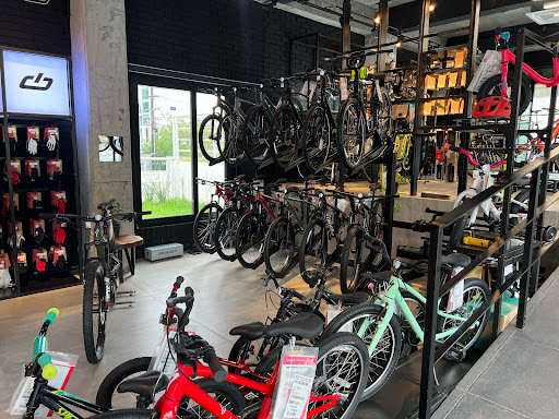 Taller de bicicletas Ride My Bike Calzada