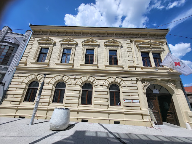 Hrvatski Crveni križ