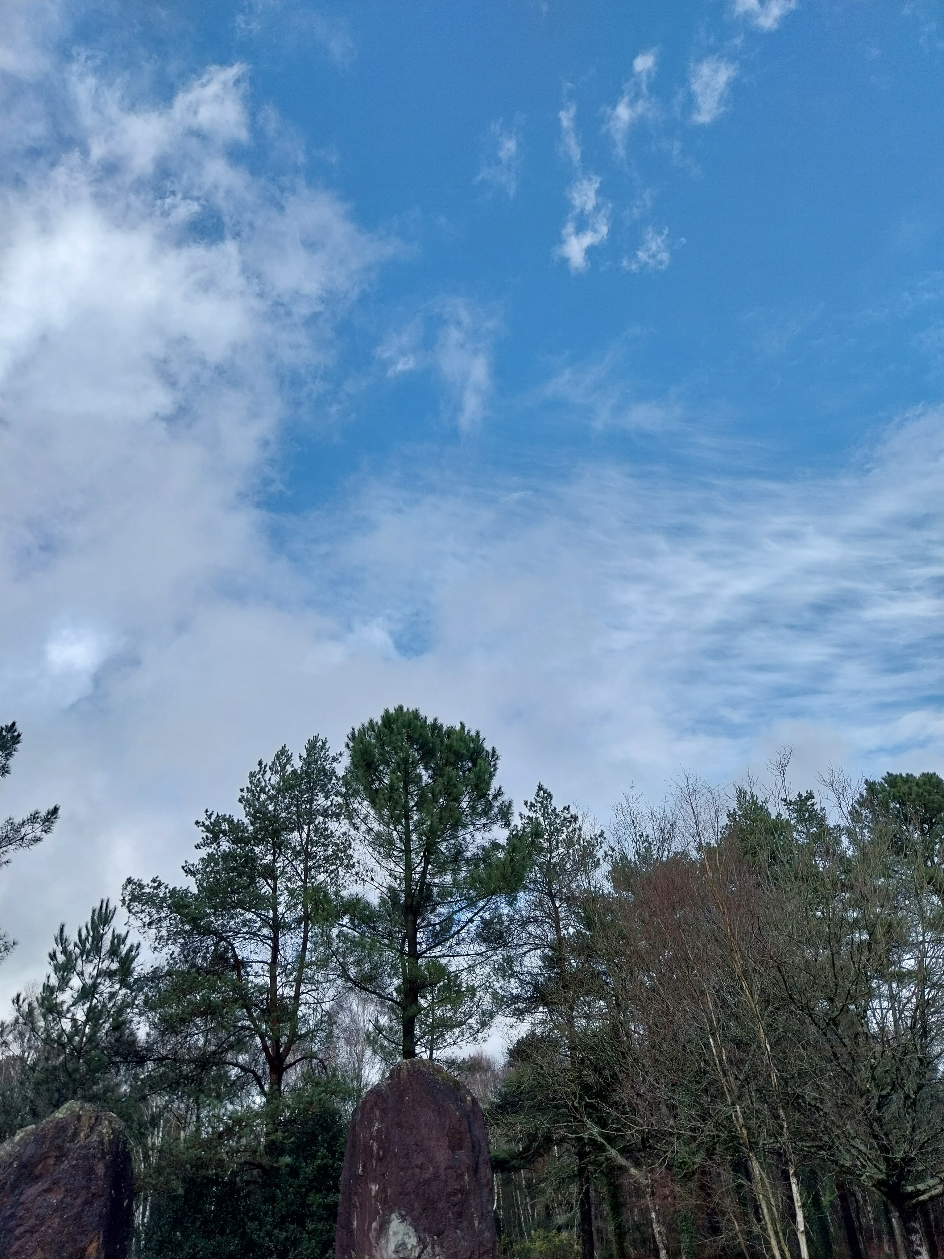 Photo n° 1 de l'avis de Marie.d fait le 28/02/2024 à 20:16