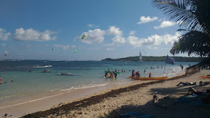 Photo n°55 de le cocotier à Sainte-Anne ()