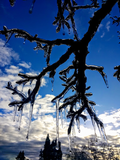 Park «Willamalane Park», reviews and photos, 1276 G St, Springfield, OR 97477, USA