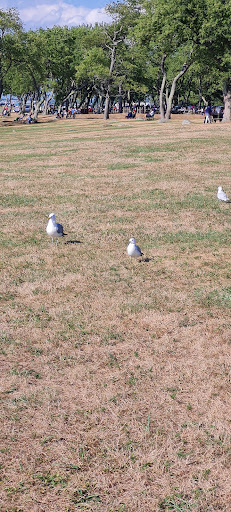 State Park «Colt State Park», reviews and photos, Route 114, Bristol, RI 02809, USA