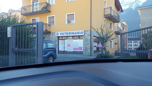 Clinica Veterinaria "Città di Aosta"