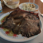 Photo n°2 de l'avis de Mauro.. fait le 09/11/2023 à 20:37 sur le  Magic Caffè à Monsampolo del Tronto