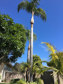 Damian Bobadilla's Landscaping - Photo 6 - Car repair in , Oceanside