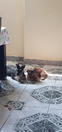 CENTRO VETERINARIO ORÍGENES - Veterinario