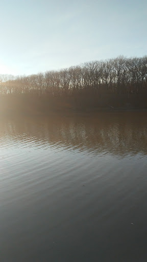 Nature Preserve «Sauk Trail Woods», reviews and photos, 3028 Forest Preserve Dr, Chicago Heights, IL 60411, USA