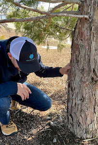 Habitat Pest & Lawn - Photo 3 - Car repair in Boise, ID, Boise