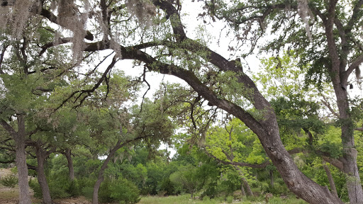 Wedding Venue «Hidden Falls», reviews and photos, 2225 Bridal Veil, Spring Branch, TX 78070, USA