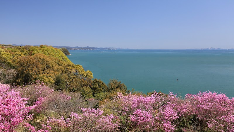 蕪崎園地 展望台