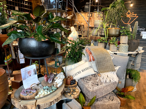 Florist «Every Blooming Thing», reviews and photos, 1079 W Exchange St, Akron, OH 44313, USA