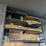 Photo n°11 de l'avis de Johannes.t fait le 30/09/2023 à 21:48 sur le  Moun10 Eatery à Garmisch-Partenkirchen