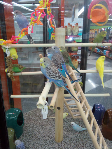 Pet Supply Store «Petco Animal Supplies», reviews and photos, 35 Fort Eddy Rd, Concord, NH 03301, USA