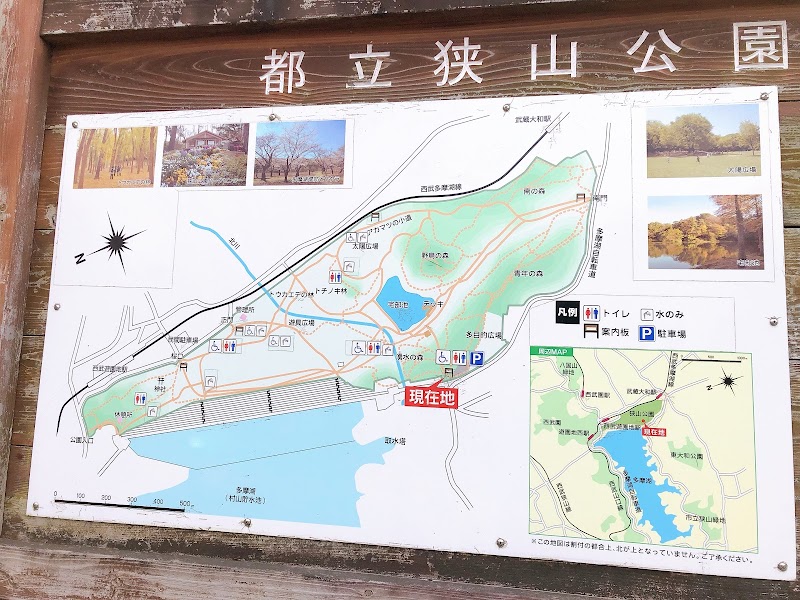 都立狭山公園一般駐車場 東京都東大和市多摩湖 無料駐車場 駐車場 グルコミ