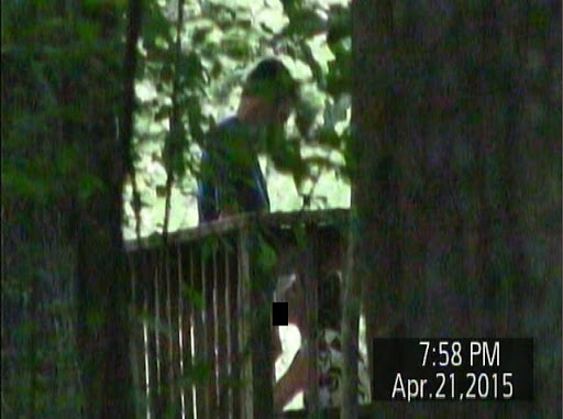 Private Investigator «Whitesell Investigative Services», reviews and photos