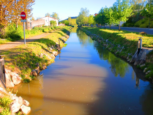 Información y opiniones sobre LA MORENETA de Valladolid