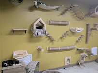 Wired Whisker - Photo 6 - Car repair in Duluth, MN, Duluth