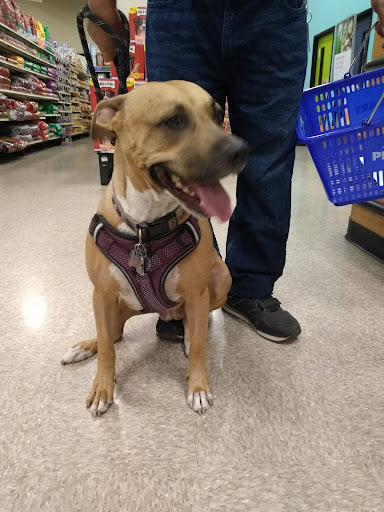 Pet Supply Store «PetSmart», reviews and photos, 1836 Joe Battle Blvd, El Paso, TX 79936, USA