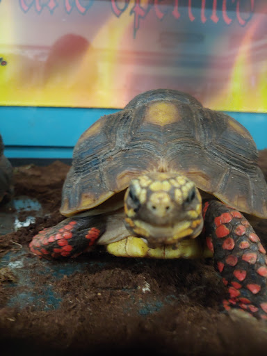 Pet Store «Critters & Co Pet Center», reviews and photos, 11042 WA-525, Clinton, WA 98236, USA