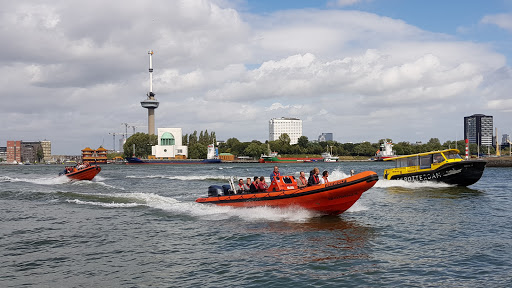 RIB Experience Rotterdam