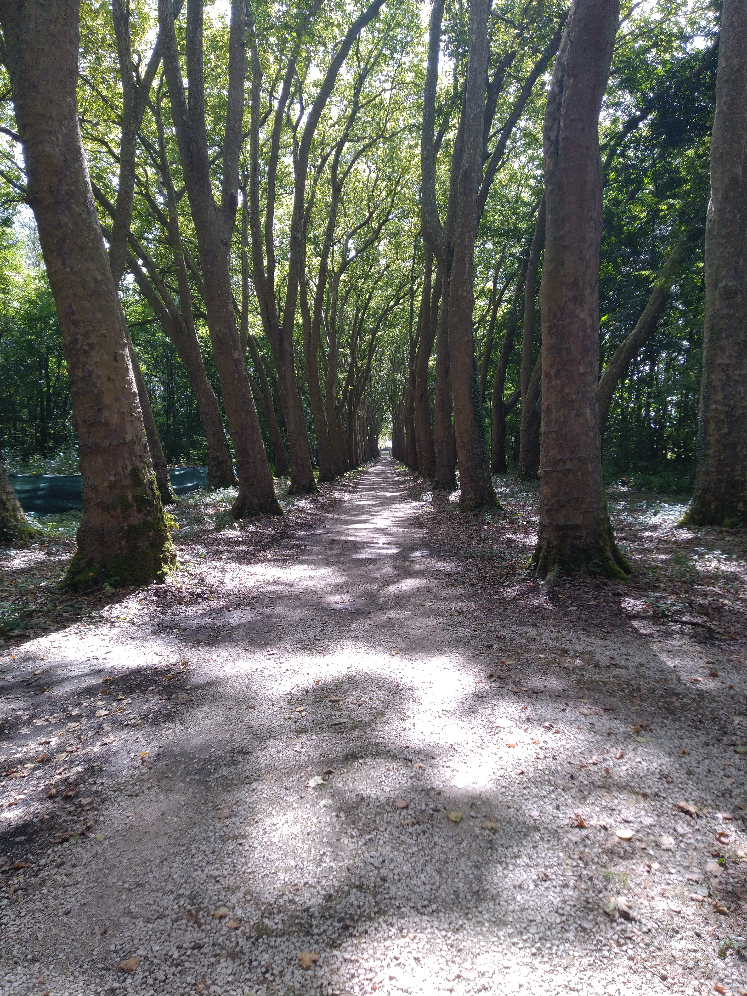 Photo n° 2 de l'avis de Dorian.. fait le 18/08/2022 à 19:35