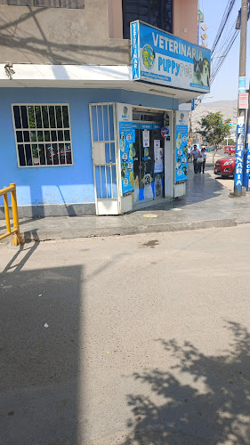 Opinii despre Veterinaria Puppy Pet în San Juan de Lurigancho - Veterinario