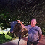 Photo n°28 de l'avis de Paolo.g fait le 15/07/2021 à 10:58 sur le  La Pampa à Rome