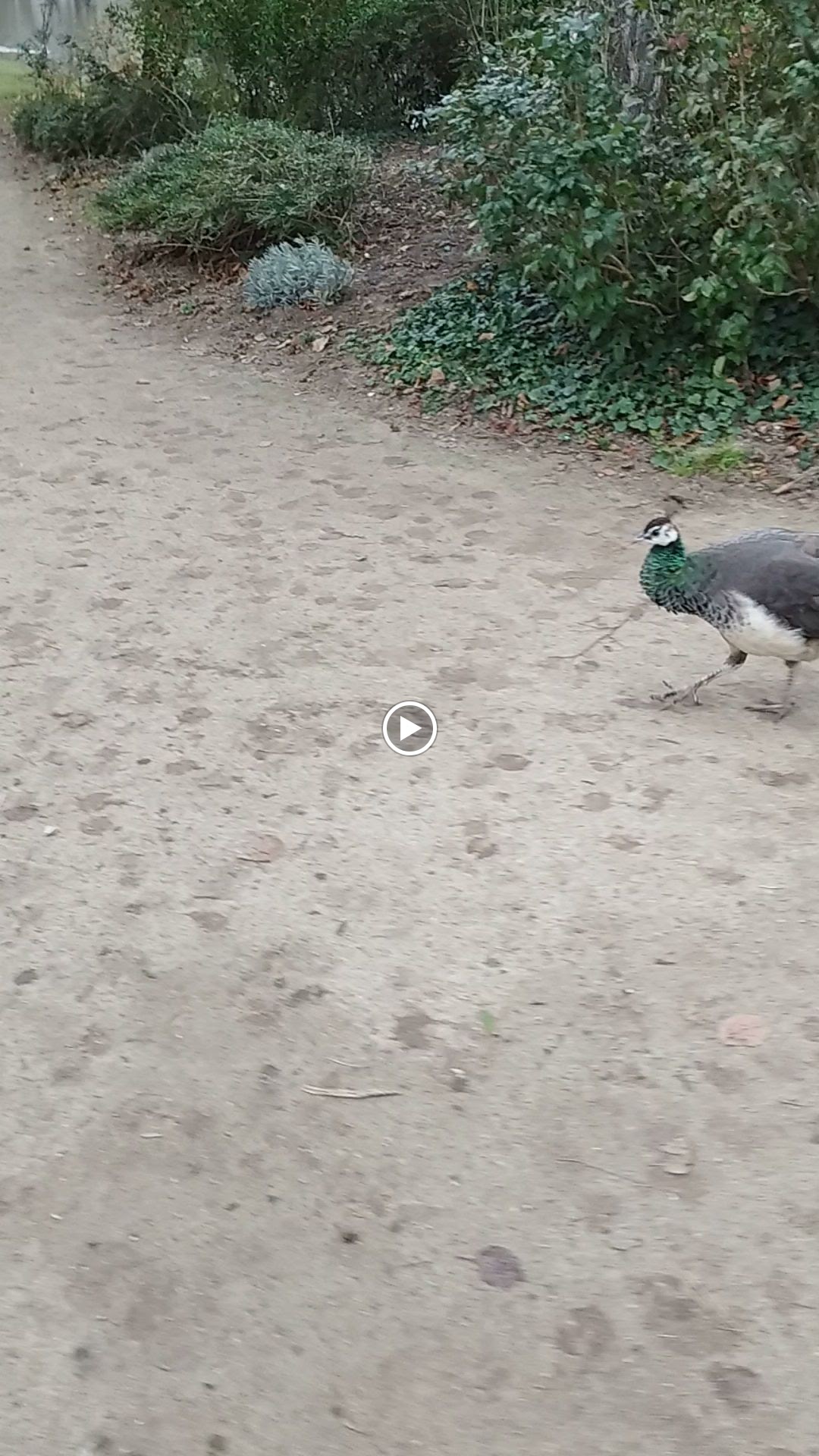 Photo n° 1 de l'avis de Fazli.h fait le 26/12/2023 à 17:34