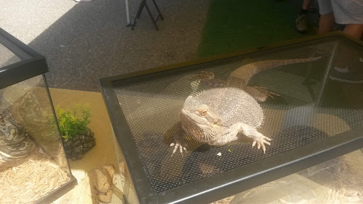 Tattoo Shop «tattoo los angeles Ocean Front Tattoo», reviews and photos, 1201 Ocean Front Walk, Venice, CA 90291, USA