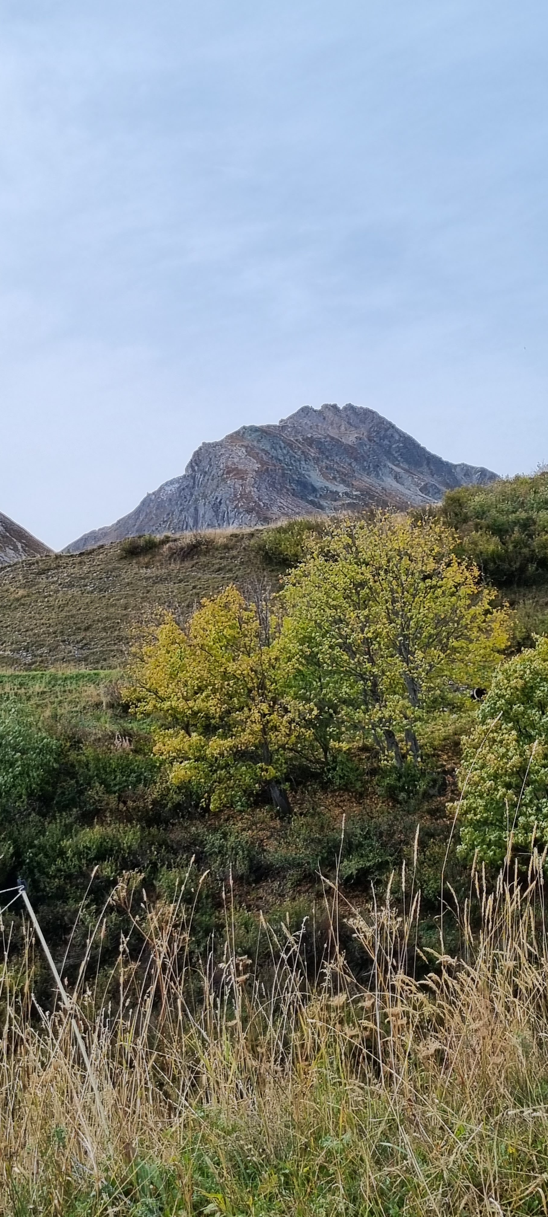 Photo n° 49 de l'avis de Raymond.a fait le 24/10/2023 à 19:44