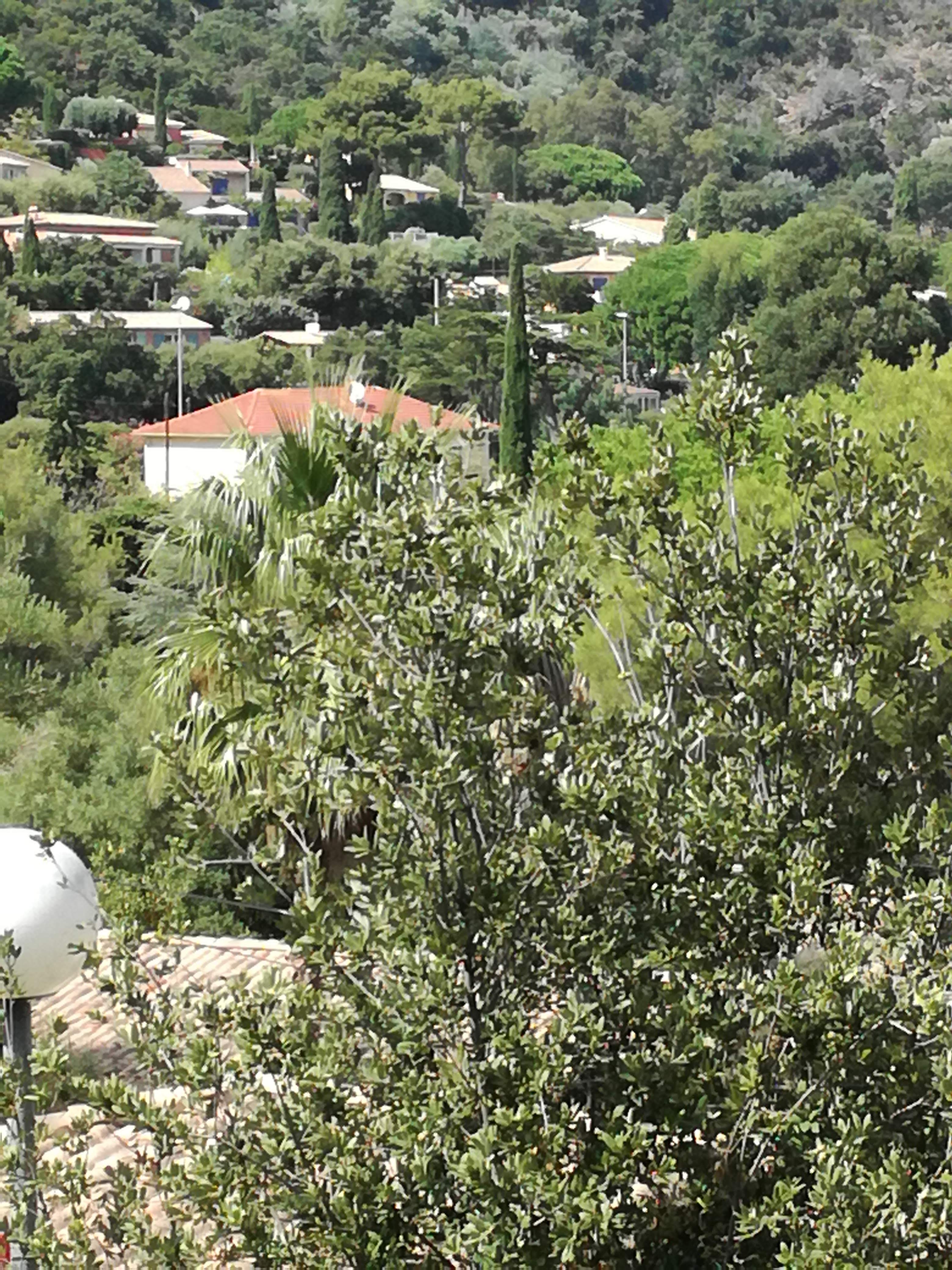 Photo n° 6 de l'avis de Stéphane.e fait le 17/09/2020 à 16:37